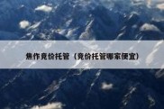焦作竞价托管（竞价托管哪家便宜）