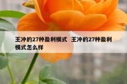 王冲的27种盈利模式  王冲的27种盈利模式怎么样