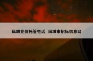凤城竞价托管电话  凤城市招标信息网