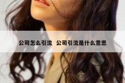 公司怎么引流  公司引流是什么意思