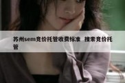 苏州sem竞价托管收费标准  搜索竞价托管