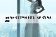 山东竞价托管公司哪个靠谱  竞价托管专业公司