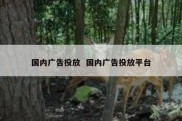 国内广告投放  国内广告投放平台