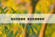 竞价托管推荐  竞价托管哪家好