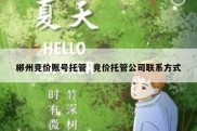 郴州竞价账号托管  竞价托管公司联系方式