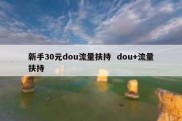 新手30元dou流量扶持  dou+流量扶持