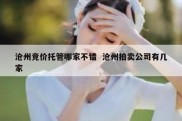 沧州竞价托管哪家不错  沧州拍卖公司有几家