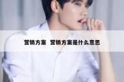 营销方案  营销方案是什么意思