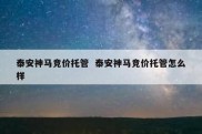 泰安神马竞价托管  泰安神马竞价托管怎么样