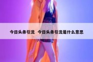 今日头条引流  今日头条引流是什么意思