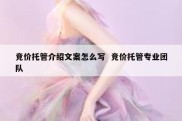 竞价托管介绍文案怎么写  竞价托管专业团队