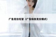 广告竞价托管（广告投放竞价模式）