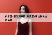 抖音蓝v引流到微信  抖音蓝v引流到微信怎么弄