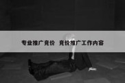 专业推广竞价  竞价推广工作内容