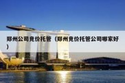 郑州公司竞价托管（郑州竞价托管公司哪家好）