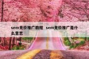 sem竞价推广教程  sem竞价推广是什么意思