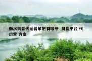 衡水抖音代运营策划有哪些  抖音平台 代运营 方案