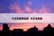 大王短视频运营  大王电商版