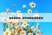 怎样涨粉丝  怎样涨粉丝涨得更快