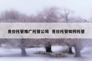 竞价托管推广托管公司  竞价托管如何托管