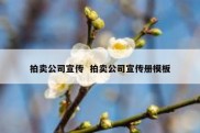 拍卖公司宣传  拍卖公司宣传册模板