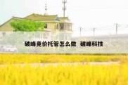 破峰竞价托管怎么做  破峰科技