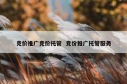 竞价推广竞价托管  竞价推广托管服务
