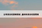 公司竞价托管哪家好  最好的竞价托管费用