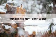 好的竞价托管推广  竞价托管渠道