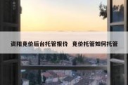 资阳竞价后台托管报价  竞价托管如何托管
