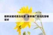 偃师关键词竞价托管  搜索推广竞价托管哪家好