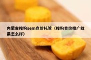内蒙古搜狗sem竞价托管（搜狗竞价推广效果怎么样）
