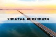 竞价托管之新手  最好的竞价托管费用