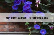 推广竞价托管谁家好  竞价托管优化公司