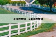 引流独立站  tk引流独立站