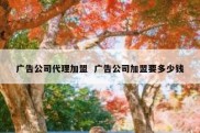 广告公司代理加盟  广告公司加盟要多少钱