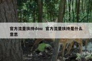 官方流量扶持dou  官方流量扶持是什么意思