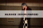 湖北竞价托管（竞价托管公司操作流程）