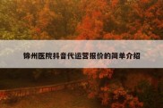 锦州医院抖音代运营报价的简单介绍