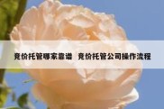竞价托管哪家靠谱  竞价托管公司操作流程