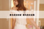 黑马竞价托管  黑马竞价豆荚