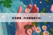 引流渠道（引流渠道有什么）