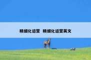 精细化运营  精细化运营英文