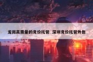 龙岗高质量的竞价托管  深圳竞价托管外包