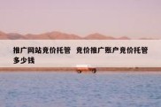 推广网站竞价托管  竞价推广账户竞价托管多少钱