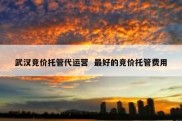 武汉竞价托管代运营  最好的竞价托管费用