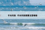 千川代投  千川代投需要注意哪些