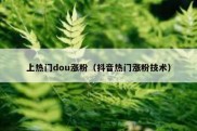 上热门dou涨粉（抖音热门涨粉技术）
