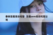 泰安百度竞价托管  百度sem竞价托管公司