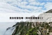 竞价托管在哪（竞价托管哪家奿）